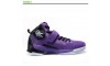 Peak Hurricane II Carl Landry Professional Basketball Shoes - Purple